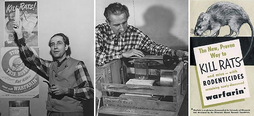 09eb85 57f3b77c9a754ce6b97ec7214a85fbb2~mv2