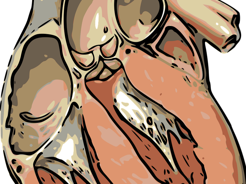 2e7bdb 56609a81b9284fa18b153a88389b2ba5~mv2