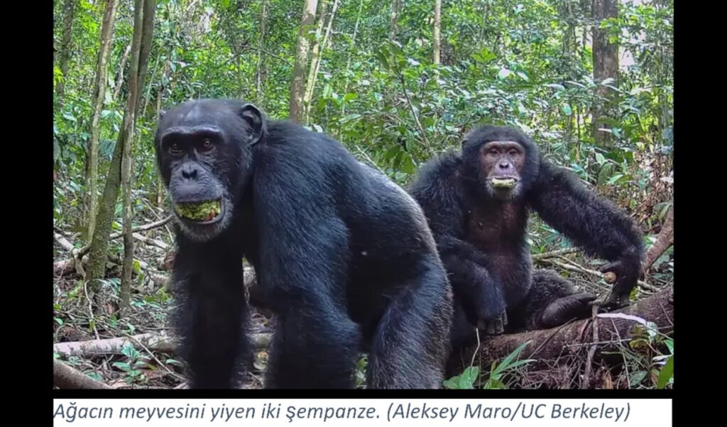 screenshot 20260120 000049~2