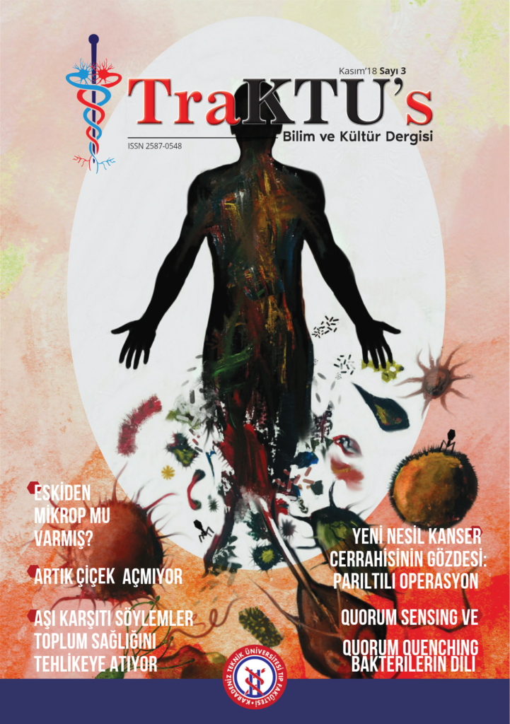 traktus kapak.pdf 20260402 164053 0000